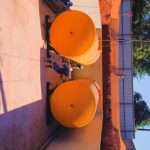 WhatsApp Image 2026-01-16 at 10.48.09 AM